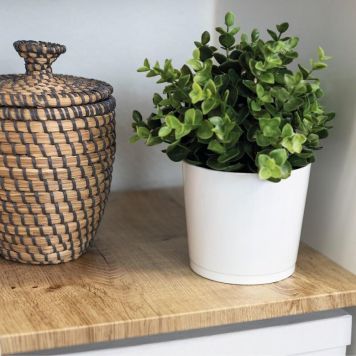 Kleebis D-C-Fix Ribbeck Eiche