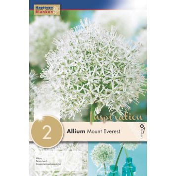 Varrekas lauk Mount Everest 2 tk