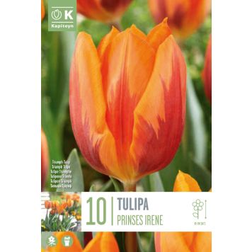 Tulp Printses Irene 10 tk