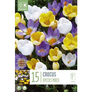 Krookus Specie Mixed 15 tk