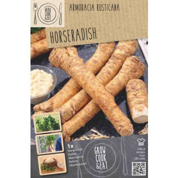 Aed-mädarõigas Kapiteyn 1 tk