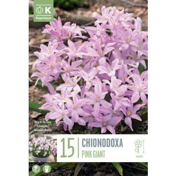 Kirgaslill Pink Giant 15 tk