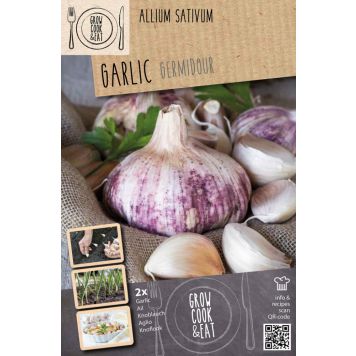 Küüslauk Germidour Pink 2 tk