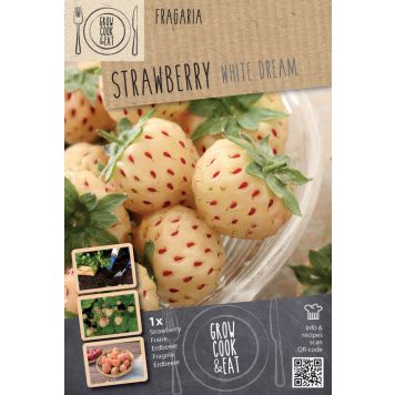 Maasikas Kapiteyn Ananassia Whit 1 tk