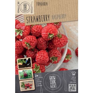 Maasikas Kapiteyn Raspberry 2 tk