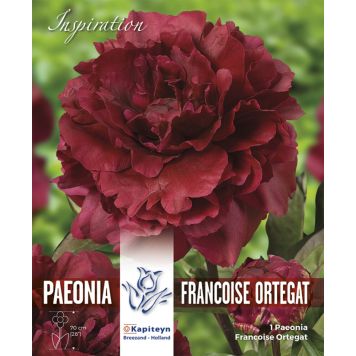 Pojeng Francoiset Ortegat