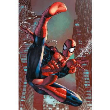 Poster Reinders 019 Spider-Man - web sling