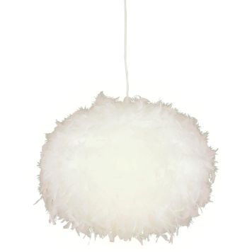 Rippvalgusti Aneta Dun