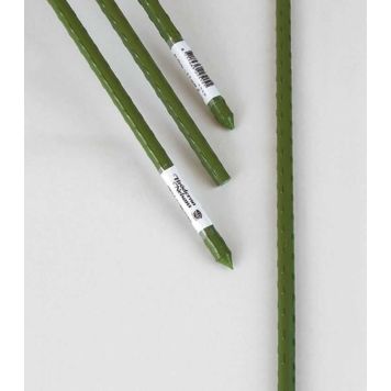 Taimetugi Nelson Garden 210 cm