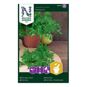 Petersell Comun 3