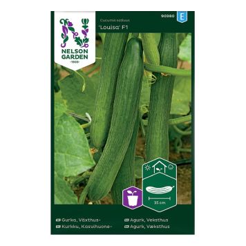 Kasvuhoone kurk Louisa