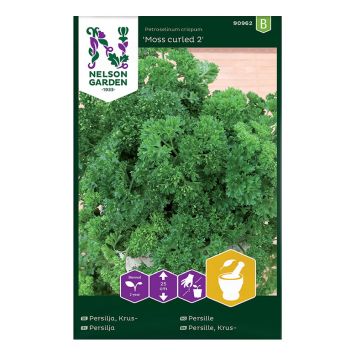 Kähar petersell Moss Curled 2