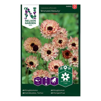 Harilik saialill Bronzed Beauty