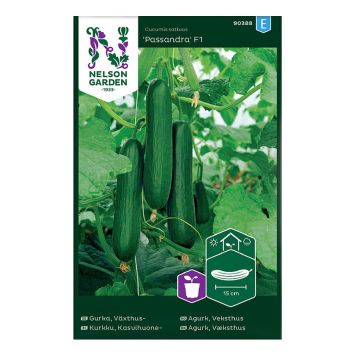 Kasvuhoone kurk Passandra F1
