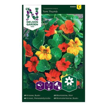 Suur mungalill Tom Thumb