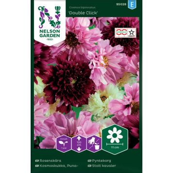 Harilik kosmos Double Click