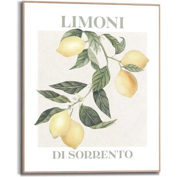 Sisustuspilt Reinders Limoni 40 x 50 cm