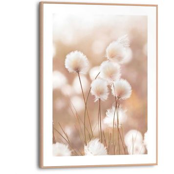 Sisustuspilt Reinders Cotton Pops 30 x 40 cm