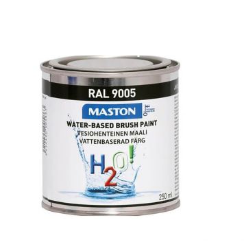 Värv H2O! Maston 250 ml, must