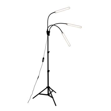 Taimevalgusti Airam Palm