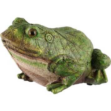 Aiakaunistus Krooksuv Konn