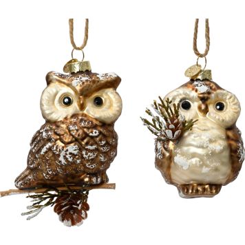 Kuuseehe Öökull valik 10 cm