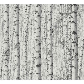 Fliistapeet A. S. Creation Pintwalls Kased 38719-1