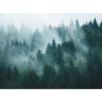 Fliistapeet A.S. Creation Digiprint Misty Forest 39898-1