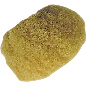 Dekoratiiv värvmise svamm Mako Creativ Line