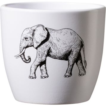 Miniümbrispott Safari Elevant Ø 10 cm