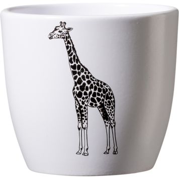 Miniümbrispott Safari Kaelkirjak Ø 10 cm