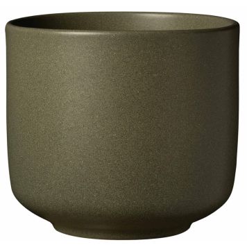 Ümbrispott  Soendgen Bari Blossom eukalüpt, erinevad suurused