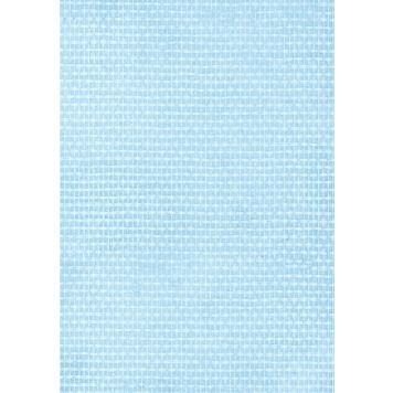 Klaaskiudtapeet Fintex Natura 194, 12,5 m²