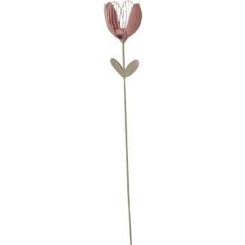 Küünlajalg Tulp 100 cm