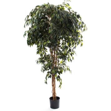 Kunstlill Bensoe viigipuu 180 cm