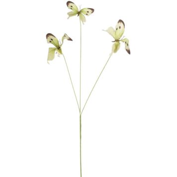 Aiakaunistus liblikas 75 cm, heleroheline