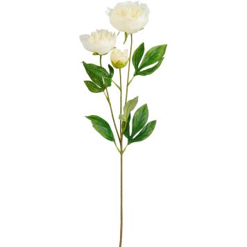 Kunstlill pojengi oks 67 cm, valge