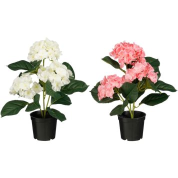 Kunsttaim Hortensia valik