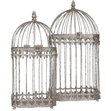 Jõulukaunistus linnupuur 40 x 20 cm, šampanja