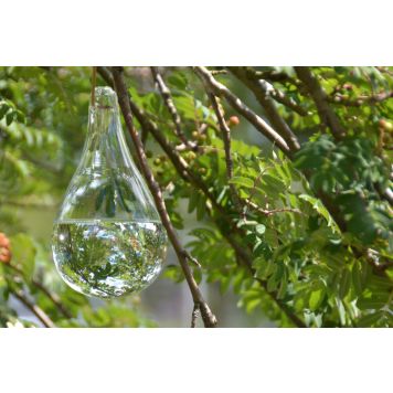 Kärbsepeleti Klaaspisar 11 x 11 x 20 cm