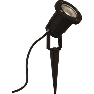 Kohtvalgusti Aneta Backe