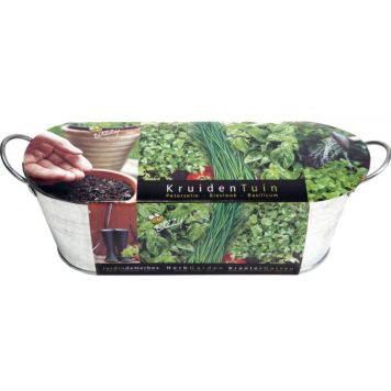 Istutuskomplekt Buzzy aknalauale aromaatsed maitsetaimed