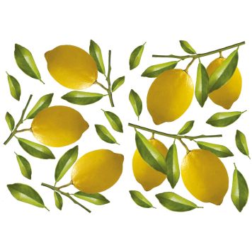 Posterkleebis Plage Sidrunid