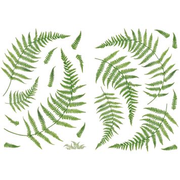 Sisustuskleebis Plage Sõnajalg