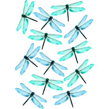 Staatiline kleebis Plage Kiil