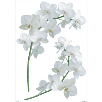 Sisustuskleebis Plage Orhidee 29,7 x 21 cm, 2 tk