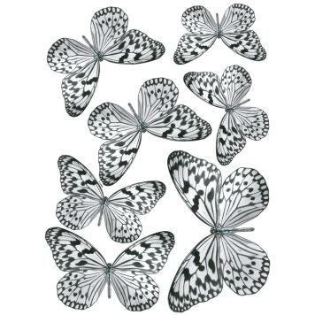 Staatiline kleebis Plage Liblikas 29,7 x 21 cm