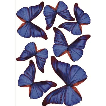 Seinakleebis Plage 3D Liblikad, tumesinine