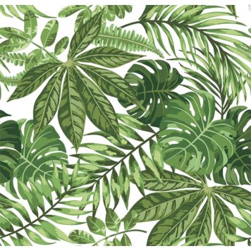 Seinakleebis plaadile Surnadalsoa 15 x 15 cm