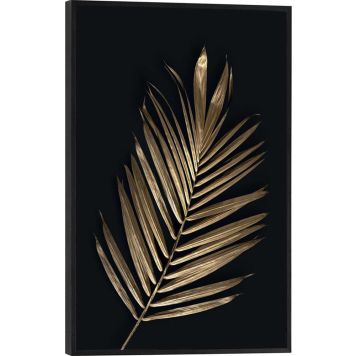 Sisustuspilt Reinders Areca Palm 20 x 30 cm